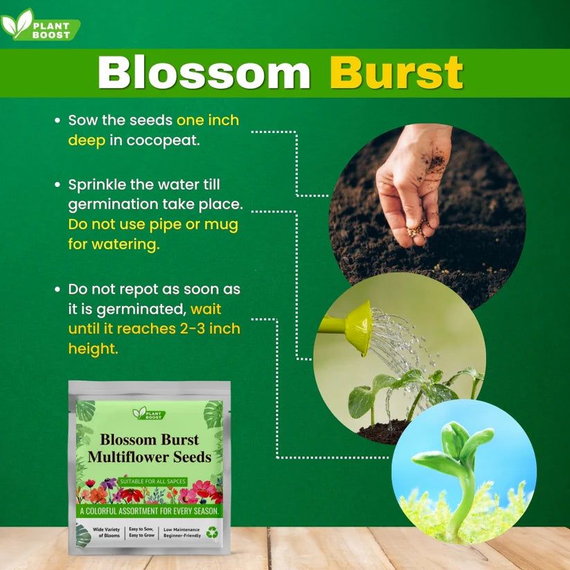 Plant Boost Packs | š„Buy 1 Get 1 Freeš„