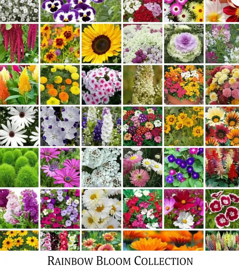 🌷 45 in 1 Flower Seeds Combo Pack | 🔥Buy 1 Get 1 Free🔥