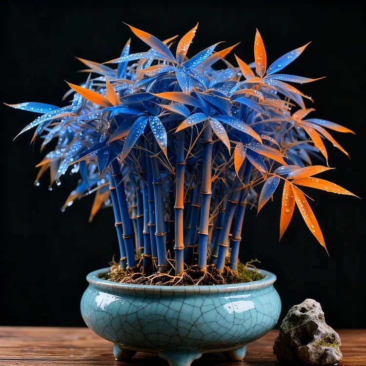 🌿 DreamBamboo — Multi-Color Lucky Bamboo Seeds | 🔥Buy 1 Get 1 Free🔥