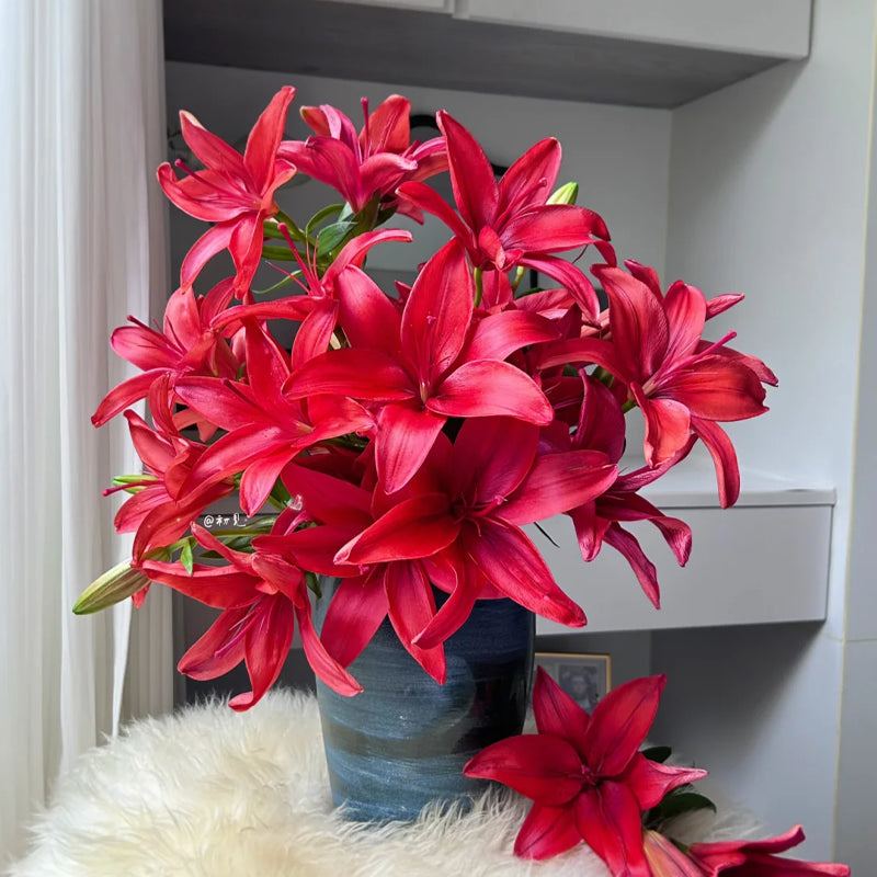 ⚜️Perennial Perfume lily bulbs – hardy, easy to maintain, and long-lasting blooms