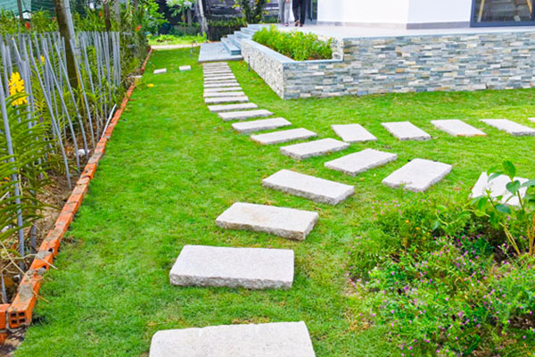 🌱 SPECIAL GRASS SEEDS | 🔥Buy 1 Get 1 Free🔥