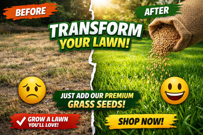 🌱 SPECIAL GRASS SEEDS | 🔥Buy 1 Get 1 Free🔥