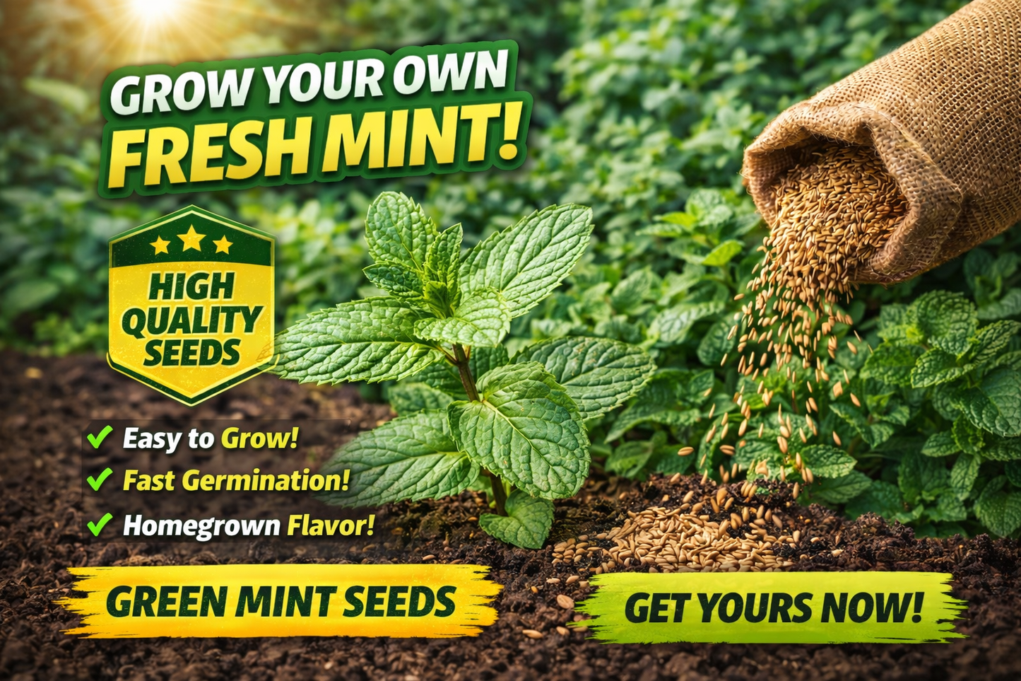 🌿 Mint Seeds – Fresh, Healthy & Easy to Grow | 🔥Buy 1 Get 1 Free🔥