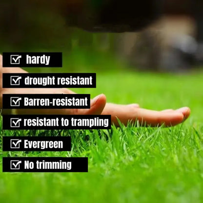 🌱 SPECIAL GRASS SEEDS | 🔥Buy 1 Get 1 Free🔥