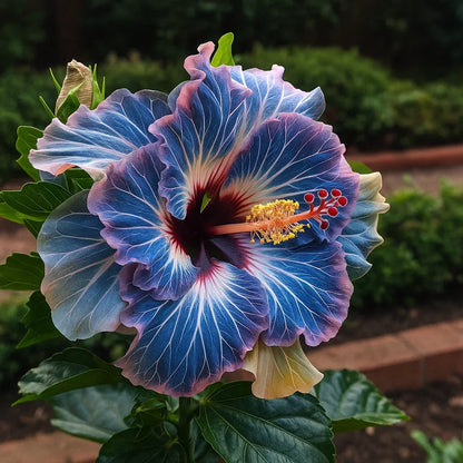 🌸Double Hibiscus Seeds - Easy to Grow | 🔥Buy 1 Get 1 Free🔥