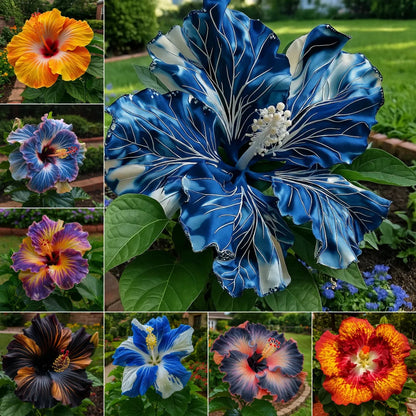 🌸Double Hibiscus Seeds - Easy to Grow | 🔥Buy 1 Get 1 Free🔥