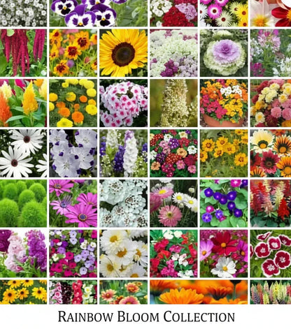 🌷 45 in 1 Flower Seeds Combo Pack | 🔥Buy 1 Get 1 Free🔥