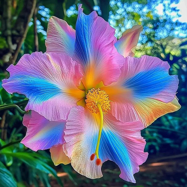 🌸Double Hibiscus Seeds - Easy to Grow | 🔥Buy 1 Get 1 Free🔥