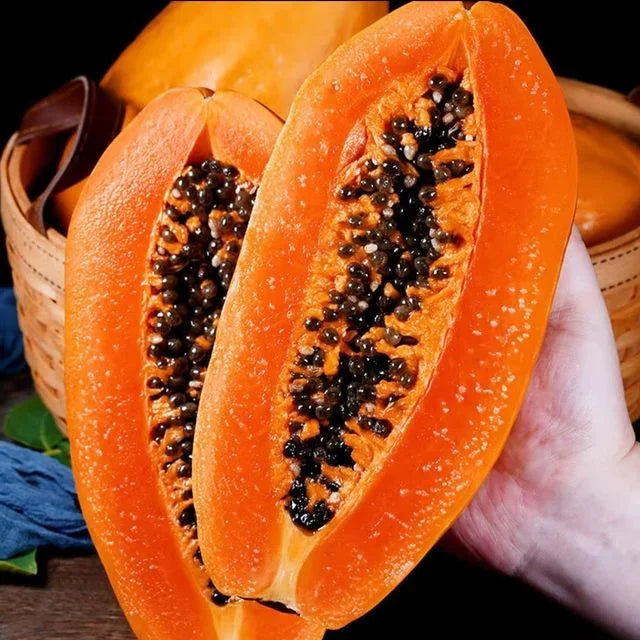 🥭 Creamy Papaya Seeds | 🔥Buy 1 Get 1 Free🔥