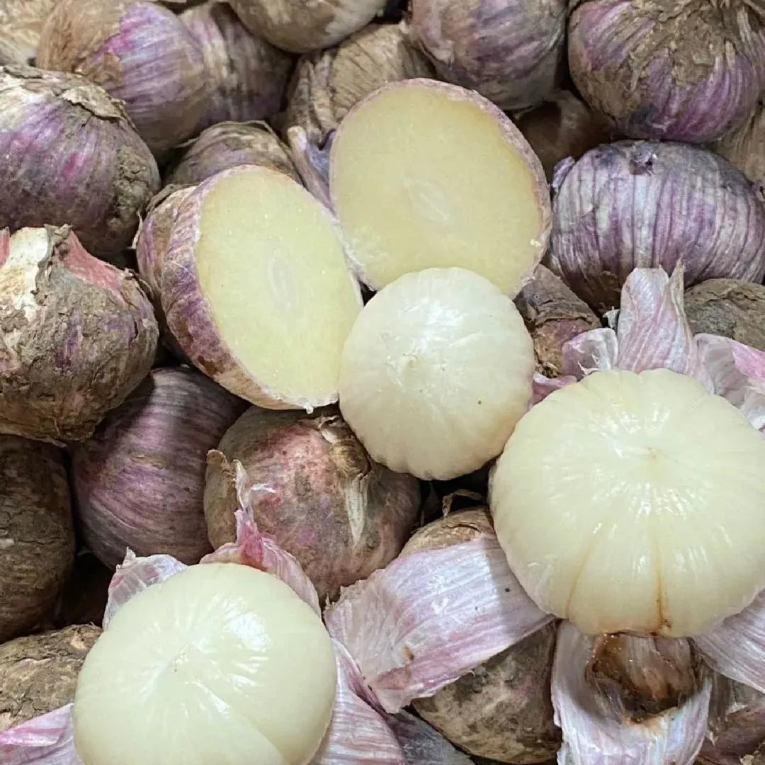 🧄Single Clove Garlic: Bold Flavor, Healthy Choice! | 🔥Buy 1 Get 1 Free🔥