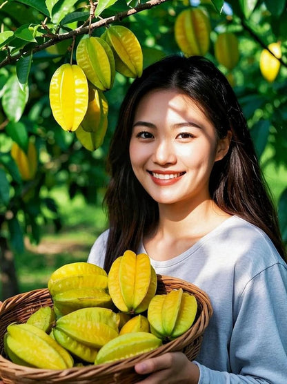 🌱 F1 Japanese Super Sweet Balimbing Seeds | 🔥Buy 1 Get 1 Free🔥