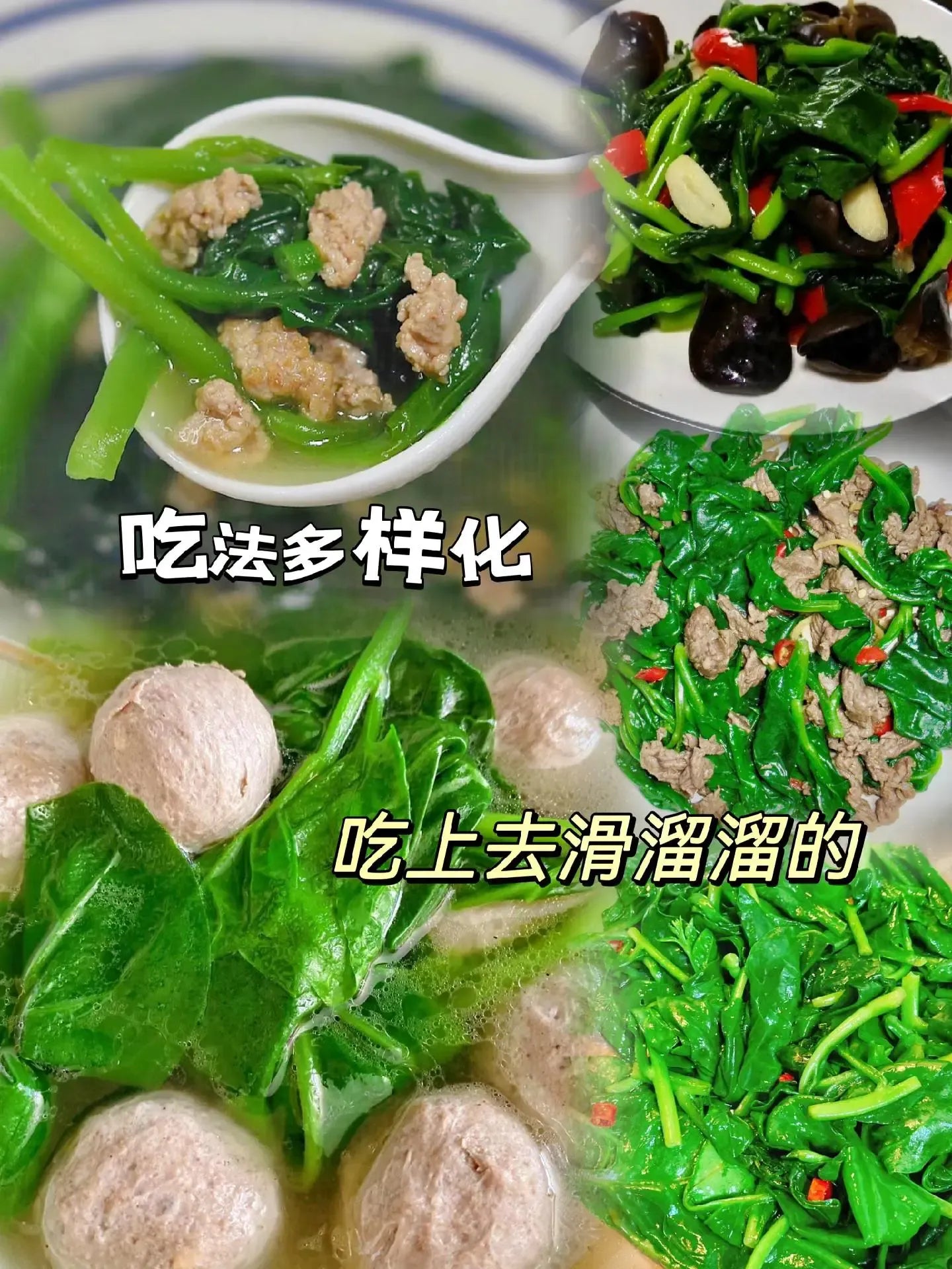 🌿 Malabar Spinach Seeds | 🔥Buy 1 Get 1 Free🔥