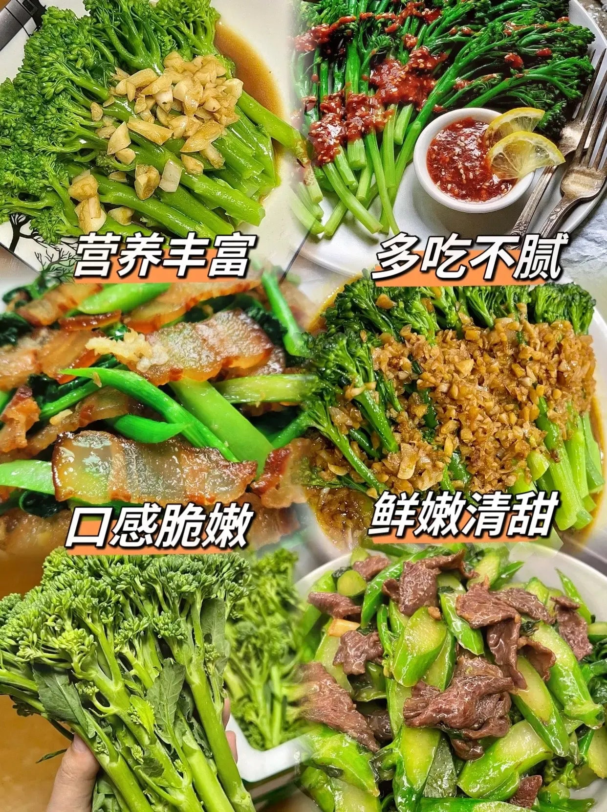 🥦 Broccoli Seeds | 🔥Buy 1 Get 1 Free🔥