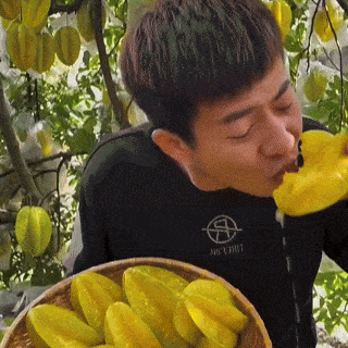 🌱 F1 Japanese Super Sweet Balimbing Seeds | 🔥Buy 1 Get 1 Free🔥