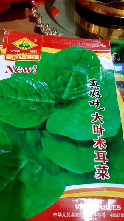 🌿 Malabar Spinach Seeds | 🔥Buy 1 Get 1 Free🔥