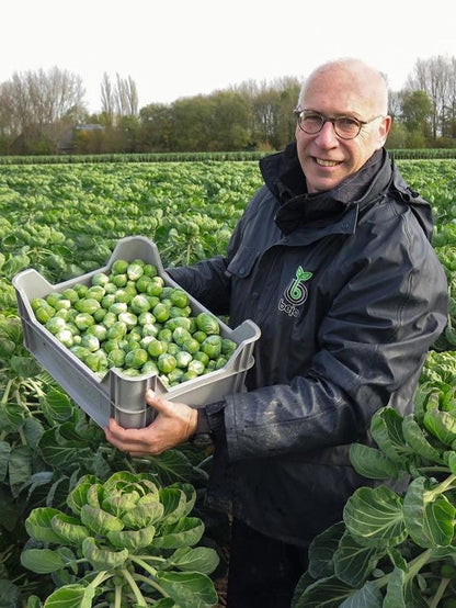 🥬 Mini Cabbage Seeds | 🔥Buy 1 Get 1 Free🔥