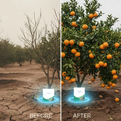 🌿 Controlled-release fertilizer for fruit trees 💪 | 🔥Buy 1 Get 1 Free🔥