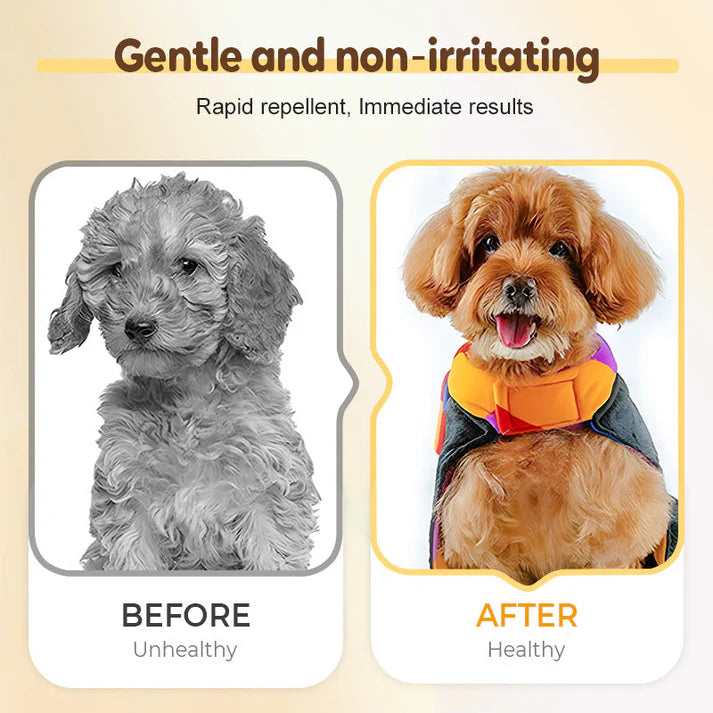 🔥Flea & Tick Repellent Spray for Cats and Dogs | 🔥Buy 1 Get 1 Free🔥