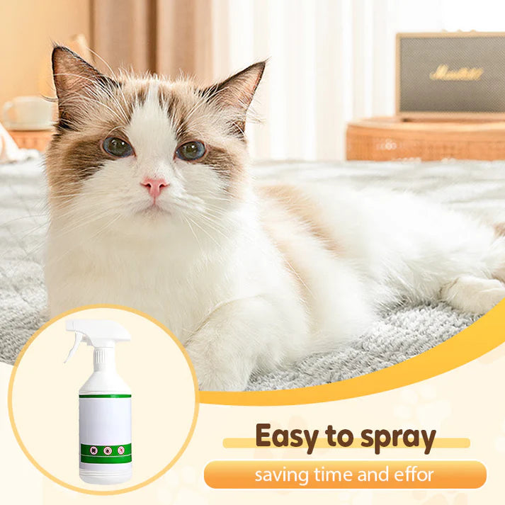 🔥Flea & Tick Repellent Spray for Cats and Dogs | 🔥Buy 1 Get 1 Free🔥