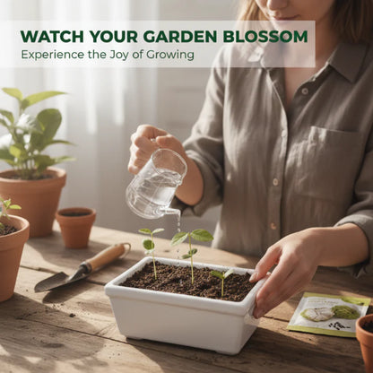 🍈 Easy-to-Grow Buddha Fruit Seeds ✨ | 🔥Buy 1 Get 1 Free🔥