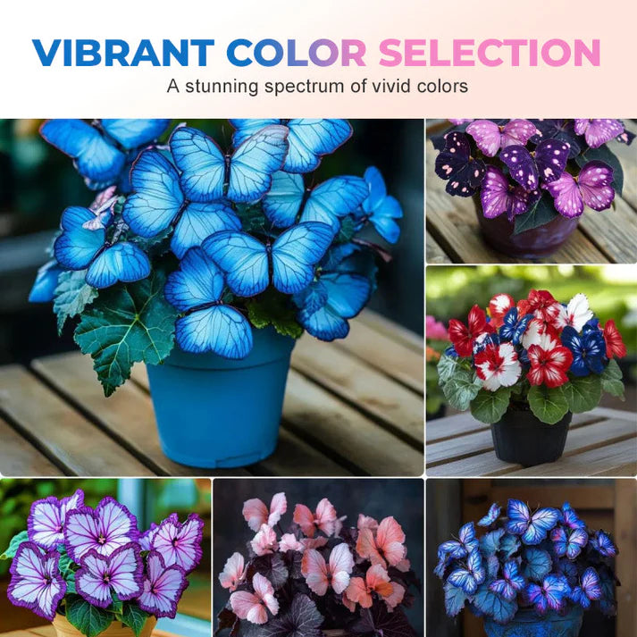 🦋 Whimsical Butterfly Shaped Flower Seeds ✨