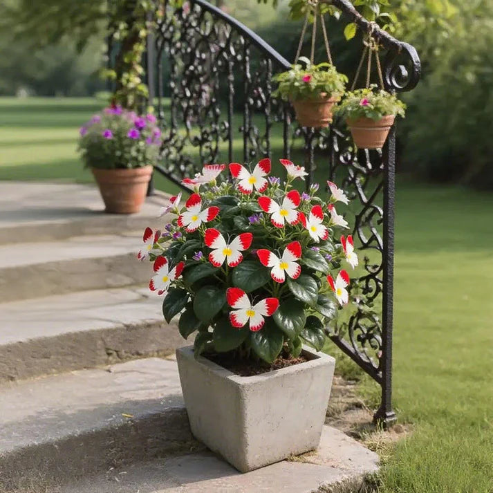 🦋 Whimsical Butterfly Shaped Flower Seeds ✨