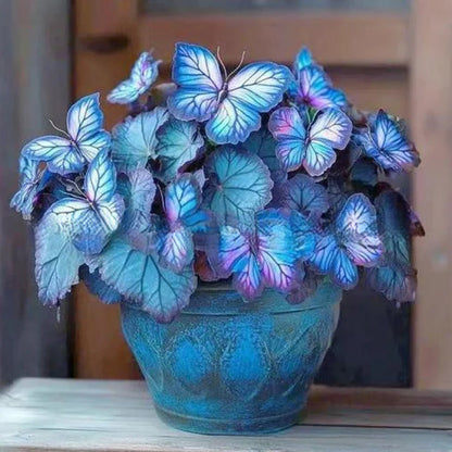 🦋 Whimsical Butterfly Shaped Flower Seeds ✨
