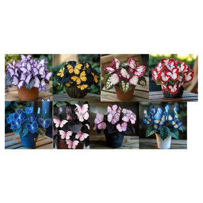 🦋 Whimsical Butterfly Shaped Flower Seeds ✨